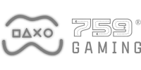 40 Gaming logo